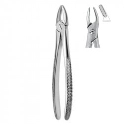 Extracting forceps 600/76