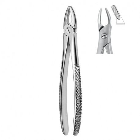 Extracting forceps 600/76