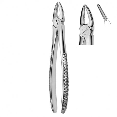 Extracting forceps 600/30