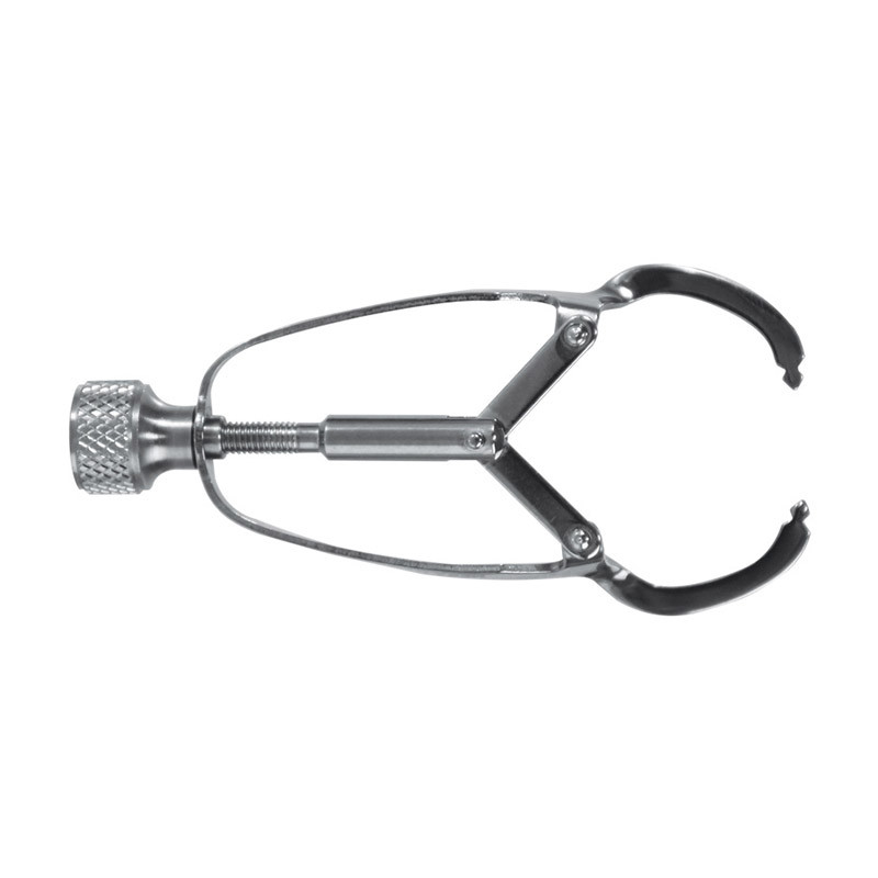 MatrixRetainer Ivory Dentaland