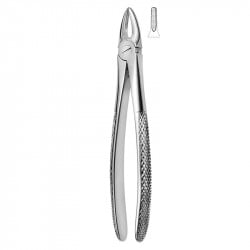 Extracting forceps 600/29