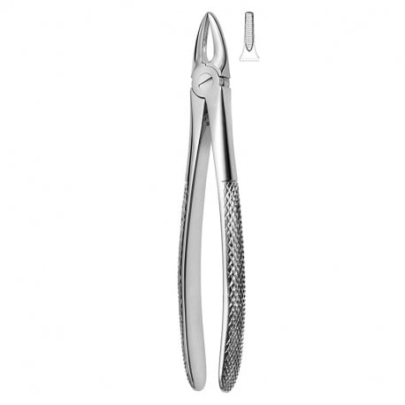 Extracting forceps 600/29