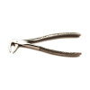 Tooth forcep TD11012