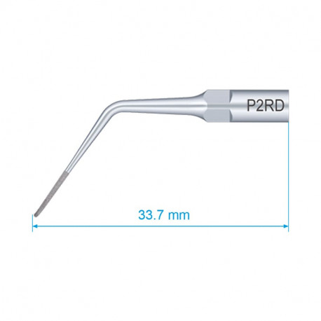 Scaler P2RD