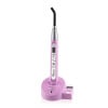 LED Curing Light C01-C