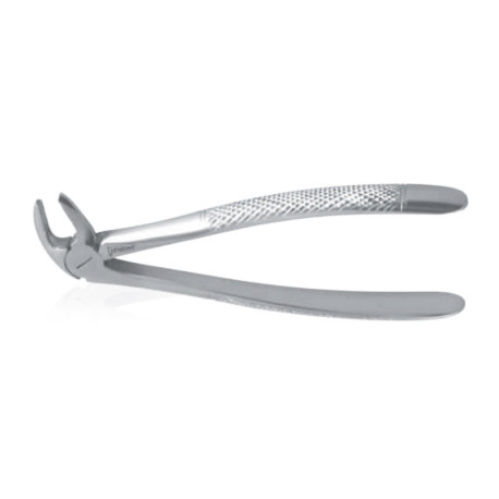 Extracting Forceps Ν13