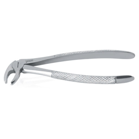 Extracting Forceps Ν22