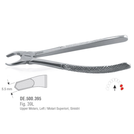 Extraction Forceps N39L