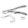 Extraction Forceps Ν51S