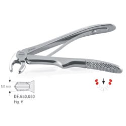 Extraction Forceps Ν6