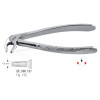 Extracting Forceps N13S