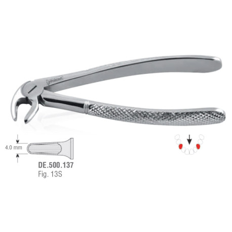 Extracting Forceps N13S