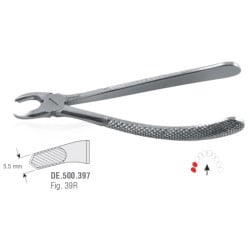 Extraction Forceps N39R