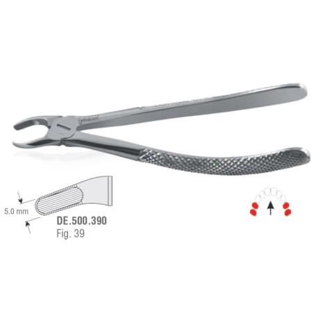 Extraction Forceps N39