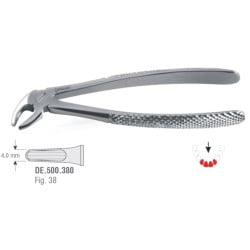 Extraction Forceps N38