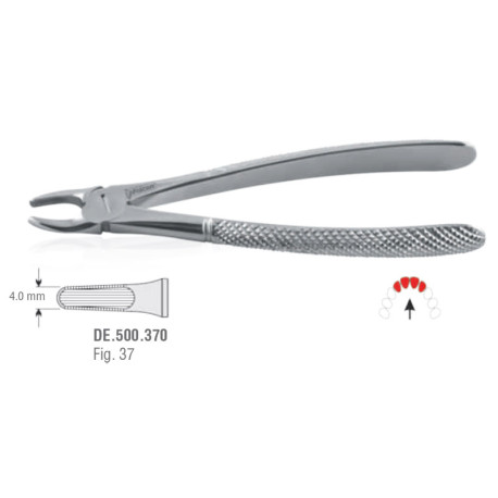 Extraction Forceps N37