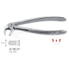 Extraction Forceps N22S