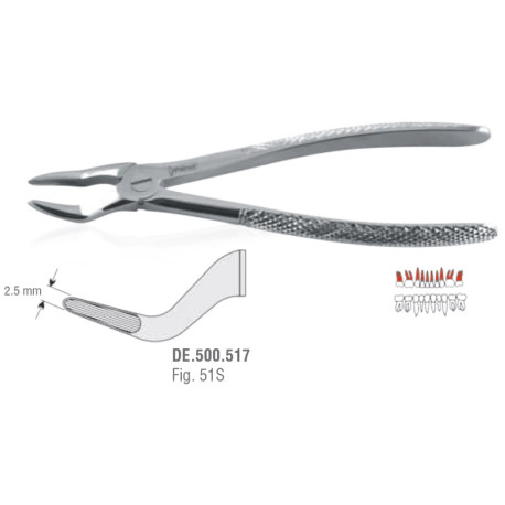 Extracting Forceps N51S