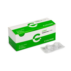 Gelatamp White