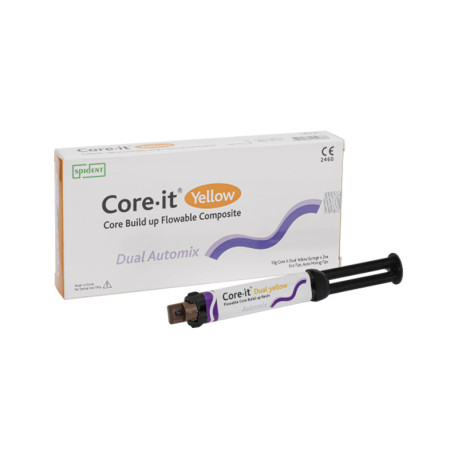 Core.it Dual