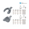Edentulous Impression Trays