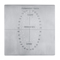 Dental Dam Template