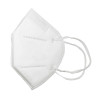 Protective mask FFP2