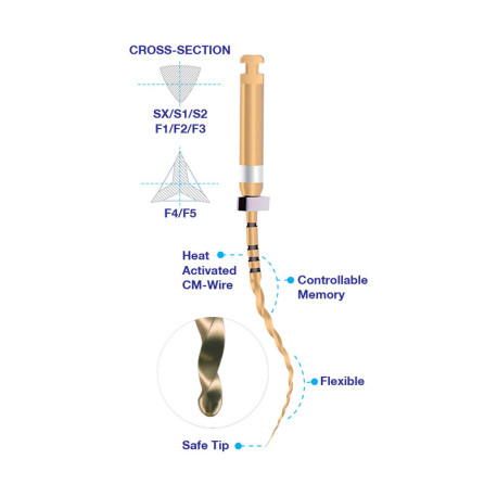 E01 NiTi Super Files Gold