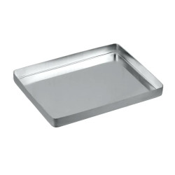 Stainless Steel Instrument Tray Midi