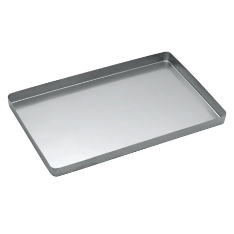 Stainless Steel Instrument Tray Maxi