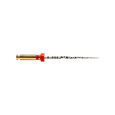 ProTaper Next