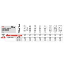 Trepan Bur 229L