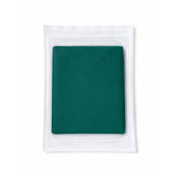 Surgical Drape 2ply