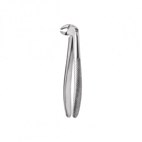 Extracting forceps 600/13