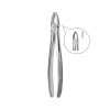 Extracting forceps 600/2