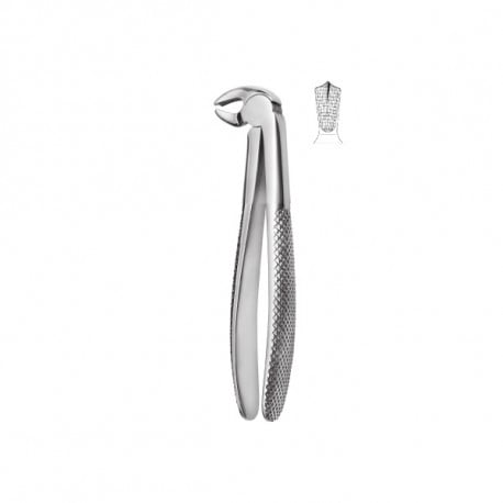 Extracting forceps 600/22