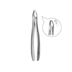 Extracting forceps 600/39