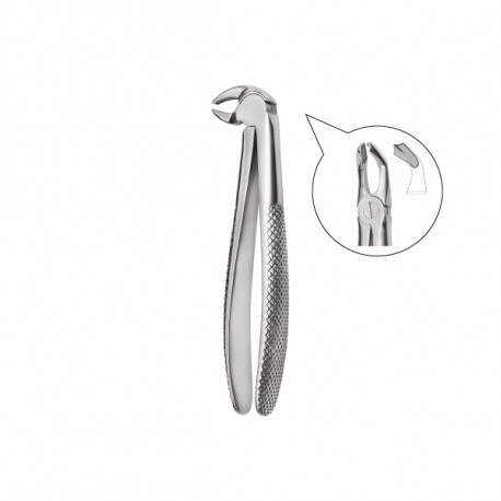 Extracting forceps 600/79