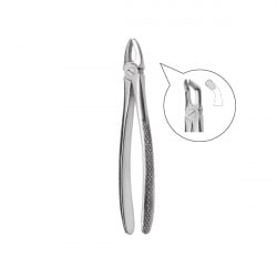 Extracting forceps 600/79Α