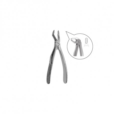 Extracting forceps 605/5