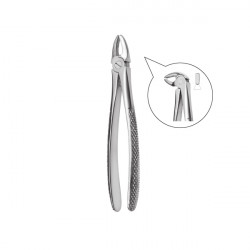 Extracting forceps 600/13S