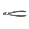 Tooth forcep TD11001