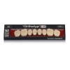 Orthotyp SPE upper set of 8