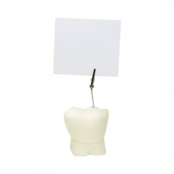 Enlarged note holder molar tooth
