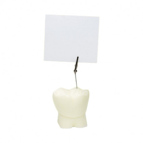 Enlarged note holder molar tooth
